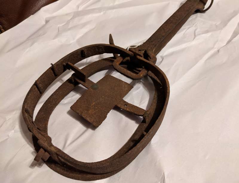 Name: PXL_20210809_015402736 (2).jpg
Views: 1165
Size: 36.52 KB
ID: 15781 PXL_20210809_015402736 (2).jpg